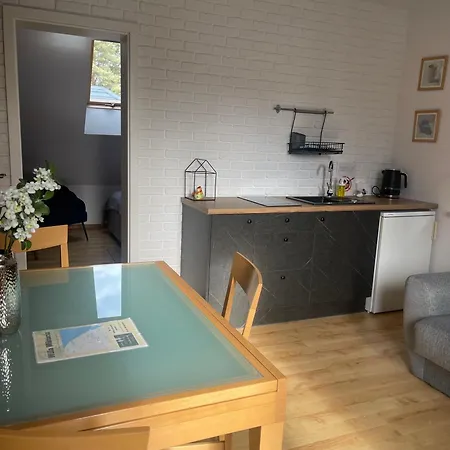 Frühstückspension Willa Wiktoria W Rozewiu - Apartamenty Z Aneksem Kuchennym , Sniadanie W Cenie 3*